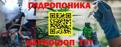 бошки Донецк