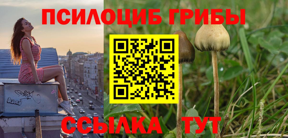 Галлюциногенные грибы Cubensis  Вход с VPN  Галлюциногенные грибы MAGIC MUSHROOMS  Корсаков 